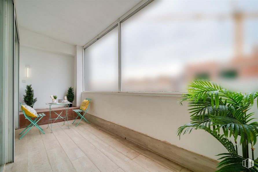 Oficina en alquiler en Avenida Leopoldo Calvo - Sotelo Bustelo, Pozuelo de Alarcón, Madrid, 28224 con mesa, silla, planta de interior, planta, ventana, edificio, madera, interiorismo, sombra y suelos alrededor