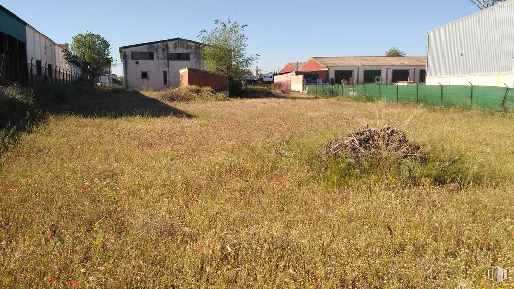 Industrial for sale at Camino San Martín Vega, Arganda del Rey, Madrid, 28500 with house, sky, plant, plant community, ecoregion, natural environment, window, tree, land lot and natural landscape around