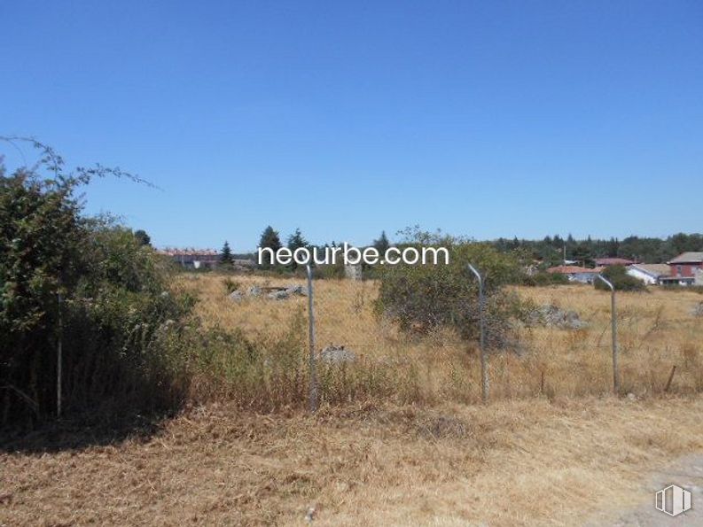 Land for sale at La Cañada, Herradón de Pinares, Ávila, 05294 with plant, sky, plant community, natural landscape, tree, land lot, grass, plain, grassland and landscape around