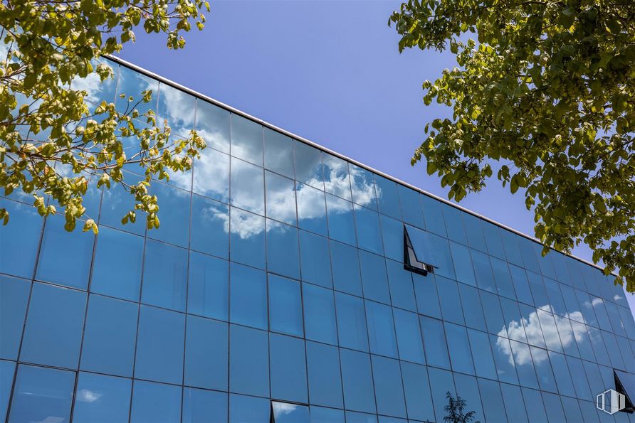 Oficina en alquiler en Avenida Europa, 34 D, Moncloa - Aravaca, Madrid, 28023 con cielo, nube, durante el día, planta, ventana, hoja, azure, rama, árbol y ramita alrededor