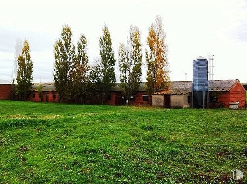 Land for sale at Domingo Pérez, Domingo Pérez, Toledo, 45544 with sky, plant, leaf, natural landscape, tree, cloud, branch, sunlight, land lot and grass around