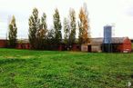 Land for sale at Domingo Pérez, Domingo Pérez, Toledo, 45544 with sky, plant, leaf, natural landscape, tree, cloud, branch, sunlight, land lot and grass around