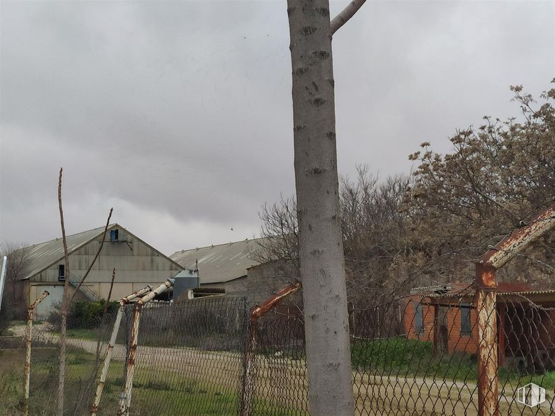 Land for sale at Zona Avenida IV Centenario, Quintanar de la Orden, Toledo, 45800 with sky, plant, cloud, branch, tree, land lot, twig, fence, wood and wire fencing around