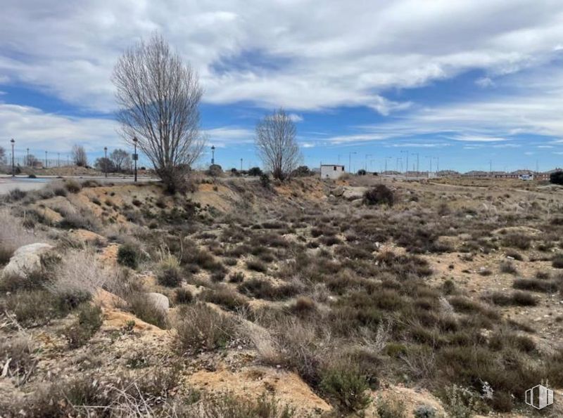 Land for sale at Zona hospital, Ávila, 05004 with cloud, sky, plant, natural landscape, bedrock, tree, shrub, grassland, landscape and formation around