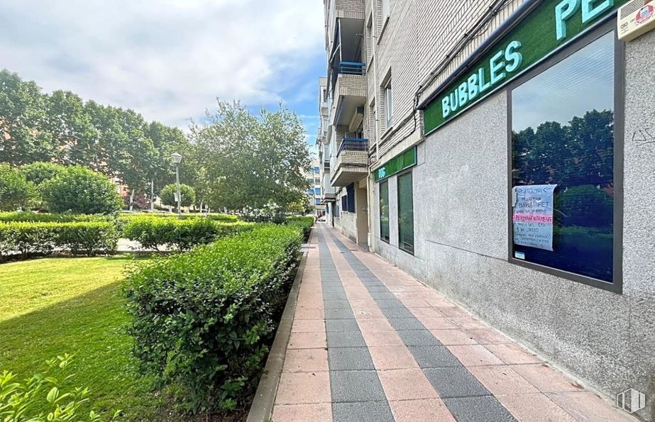 Local en alquiler y venta en Zona Fuencasa, San Fernando de Henares, Madrid, 28830 con planta, nube, cielo, superficie de la carretera, árbol, asfalto, diseño urbano, acera, pendiente y cubierta vegetal alrededor