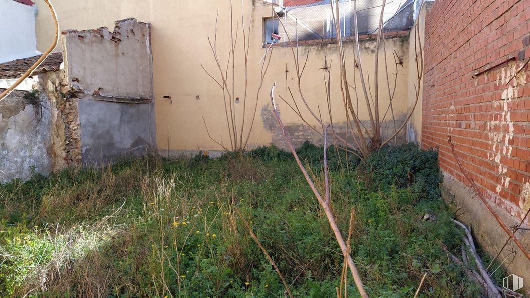 Suelo en venta en Calle Eusebio Villalvilla, Arganda del Rey, Madrid, 28500 con planta, lote de tierra, hierba, madera, ramita, gas, familia de césped, cobertura del suelo, material compuesto y suelo alrededor