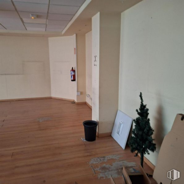 Retail for rent at Avenida Pablo Iglesias, Alcobendas, Madrid, 28100 with houseplant, floor, flooring, wood flooring, wood, laminate flooring, hardwood, interior design, ceiling and wood stain around