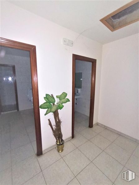 Retail for sale & for rent at Plaza Mayor, Ayllón, Segovia, 40520 with houseplant, mirror, plant, wood, building, interior design, flowerpot, floor, flooring and fixture around