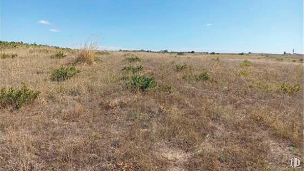 Land for sale at Polígono 3, Parcela 86, Las Ventas de Retamosa, Toledo, 45183 with sky, plant, natural landscape, grass, landscape, meadow, grassland, shrub, hill and field around