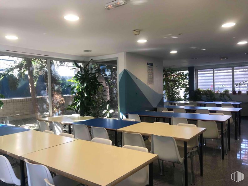 Office for rent at Polígono industrial Sur, San Sebastián de los Reyes, Madrid, 28700 with chair, houseplant, table, furniture, property, plant, building, window, interior design and shade around