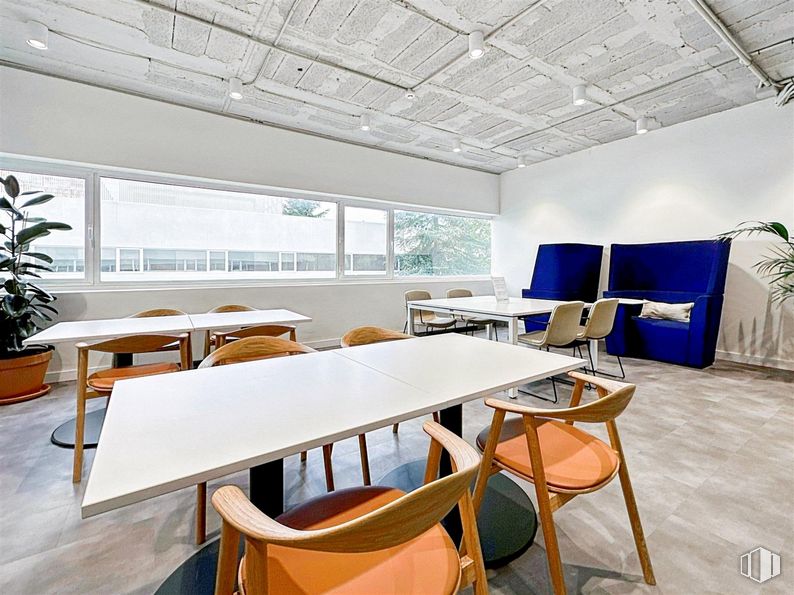 Oficina en alquiler en Regus Tres Cantos, Ronda Poniente, 2, Tres Cantos, Madrid, 28760 con silla, planta de interior, mesa, mesa de cocina y comedor, mueble, planta, propiedad, interiorismo, edificio y suelos alrededor