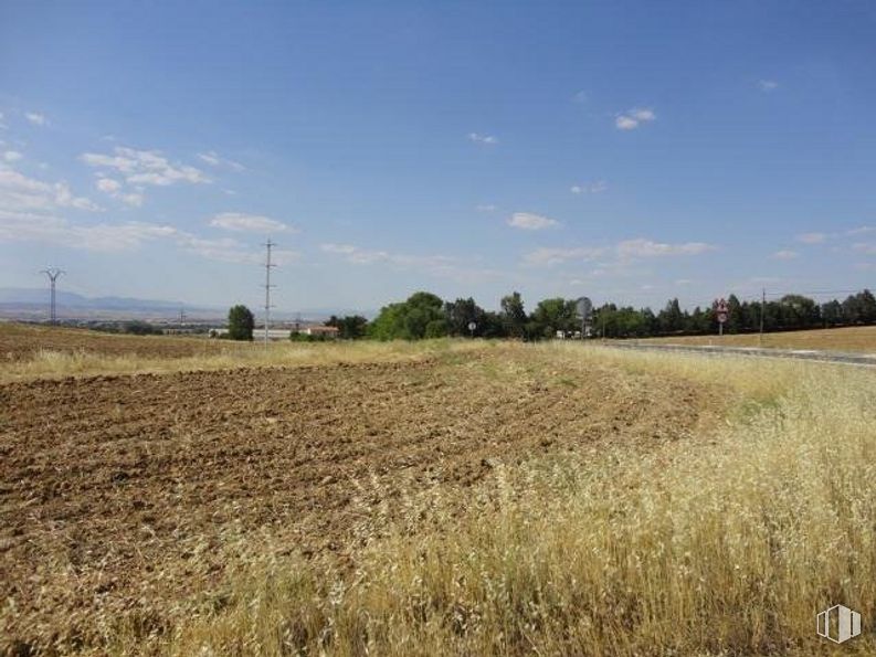 Suelo en venta en Carretera M-103, Algete, Madrid, 28110 con planta, cielo, nube, paisaje natural, lote de terreno, árbol, hierba, llano, agricultura y pradera alrededor