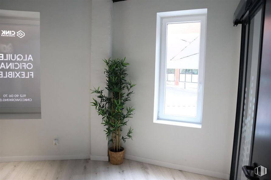 Oficina en alquiler en Calle Sófora, 15, Tetuán, Madrid, 28020 con ventana, planta de interior, planta, propiedad, maceta, madera, accesorio, edificio, interiorismo y suelos alrededor