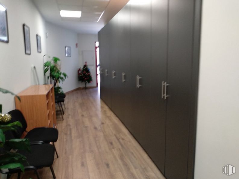 Oficina en alquiler en Calle Escaño, Getafe, Madrid, 28901 con armario, planta, planta de interior, edificio, interiorismo, madera, accesorio, suelos, suelo y puerta alrededor