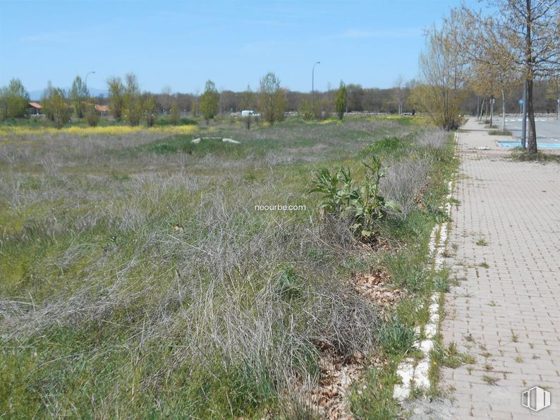 Suelo en venta en Calle Hoyo de Pinares, Ávila, 05002 con cielo, planta, comunidad vegetal, árbol, paisaje natural, lote de terreno, hierba, cubierta vegetal, llano y paisaje alrededor