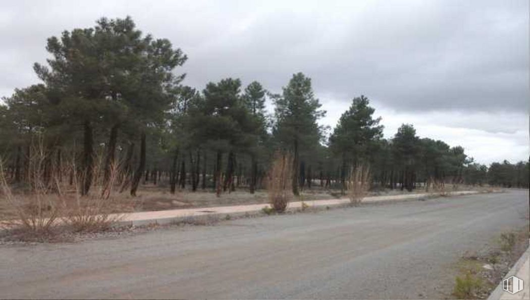 Land for sale at Sector S-3, Villanueva de Gómez, Villanueva de Gómez, Ávila, 05166 with sky, cloud, plant, natural landscape, tree, asphalt, land lot, road surface, plain and grass around