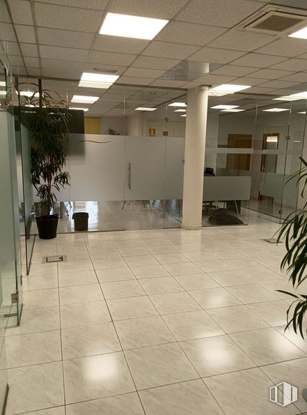 Oficina en venta en Avenida Juan Carlos I, 40 DUPLICADO, Collado Villalba, Madrid, 28400 con planta de interior, alumbrado, lámpara, planta, suelo de baldosas, interiorismo, suelos, suelo, accesorio y maceta alrededor