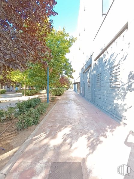 Retail for sale & for rent at Zona Soto de Henares, Torrejón de Ardoz, Madrid, 28850 with plant, building, road surface, sky, asphalt, window, tree, shade, sidewalk and neighbourhood around