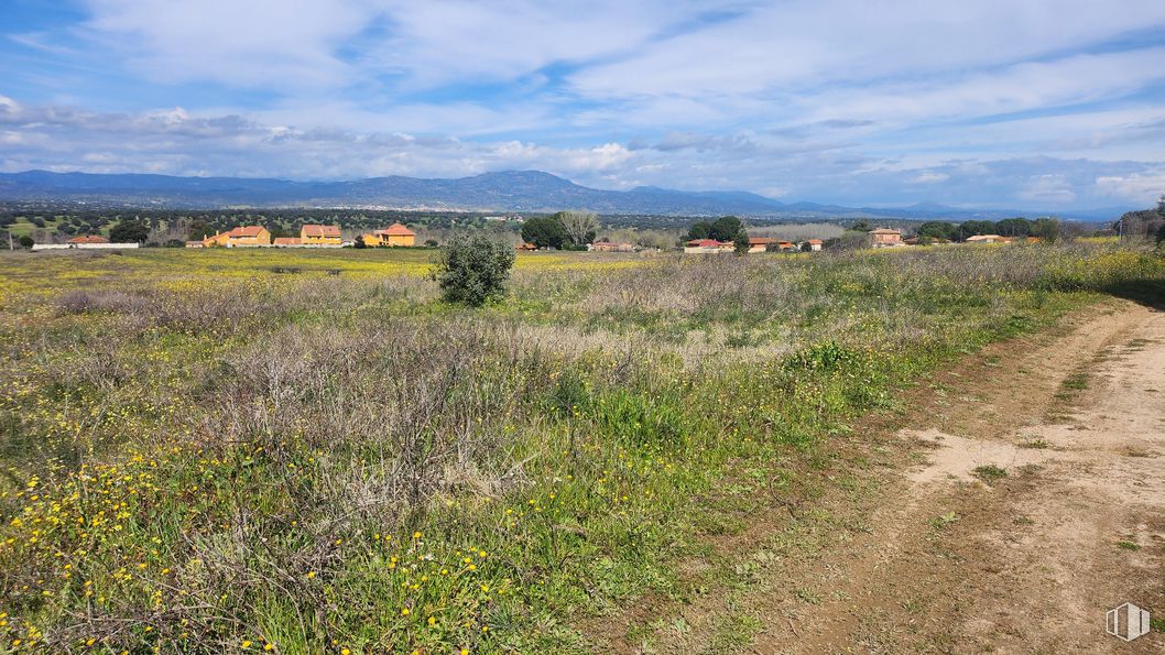 Land for sale at Zona Mirador de Fuente Romero, Hormigos, Toledo, 45919 with cloud, sky, plant, natural landscape, tree, agriculture, grass, grassland, plain and landscape around