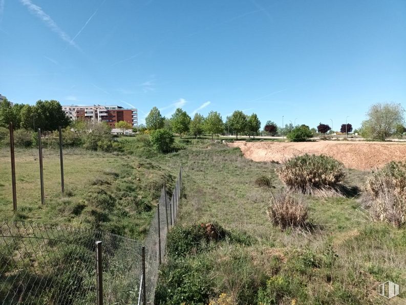 Suelo en venta en Calle Acebeda, Guadalajara, 19005 con cielo, planta, árbol, paisaje natural, pradera, paisaje, llano, inmobiliario, prado y hierba alrededor