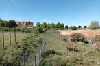 Suelo en venta en Calle Acebeda, Guadalajara, 19005 con cielo, planta, árbol, paisaje natural, pradera, paisaje, llano, inmobiliario, prado y hierba alrededor