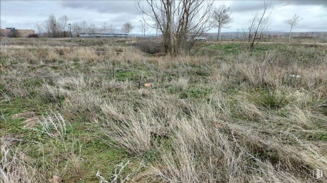 Land for sale at Calle Sotillo de la Adrada, s/n, Ávila, 05008 with plant, cloud, sky, natural landscape, tree, land lot, shrub, grassland, grass and plain around