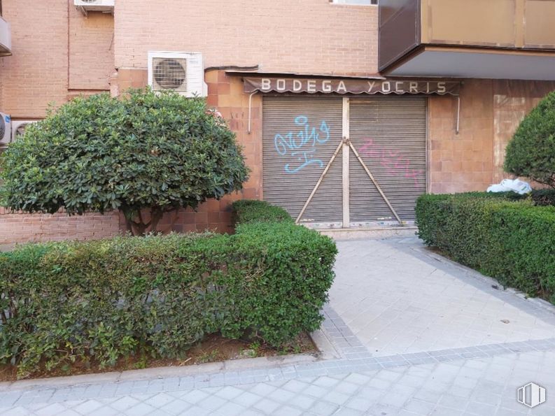 Retail for sale at Calle Puerto Serrano, 3, Arganzuela, Madrid, 28045 with door, house, plant, property, leaf, road surface, brick, urban design, brickwork and wall around