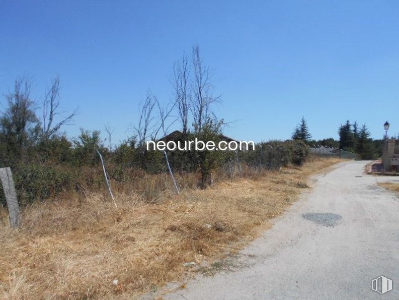 Land for sale at La Cañada, Herradón de Pinares, Ávila, 05294 with animal, sky, plant, plant community, natural landscape, land lot, grass, thoroughfare, plain and grassland around