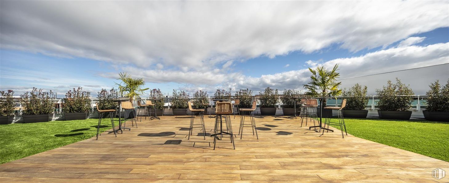 Oficina en alquiler en Calle Julián Camarillo, 8, San Blas - Canillejas, Madrid, 28037 con nube, cielo, planta, árbol, sombra, edificio, paisaje, madera, ocio y ciudad alrededor