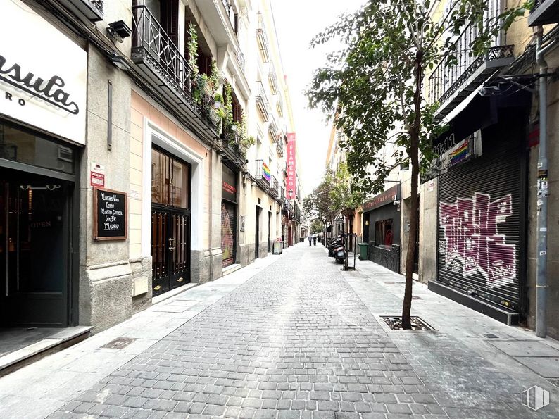 Local en alquiler en Calle Echegaray, 9, Centro, Madrid, 28014 con edificio, infraestructura, superficie de la carretera, árbol, barrio, acera, carretera, callejón, ciudad y tintes y matices alrededor