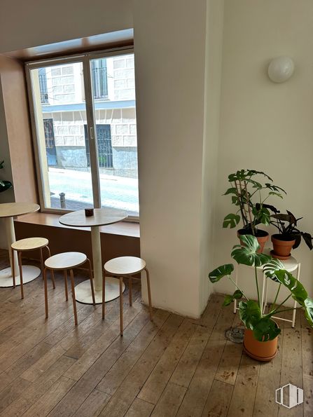 Local en venta en Calle Palma, Centro, Madrid, 28004 con maceta, mesa, planta de interior, taburete, planta, edificio, madera, diseño de interiores, pavimentos y accesorio alrededor