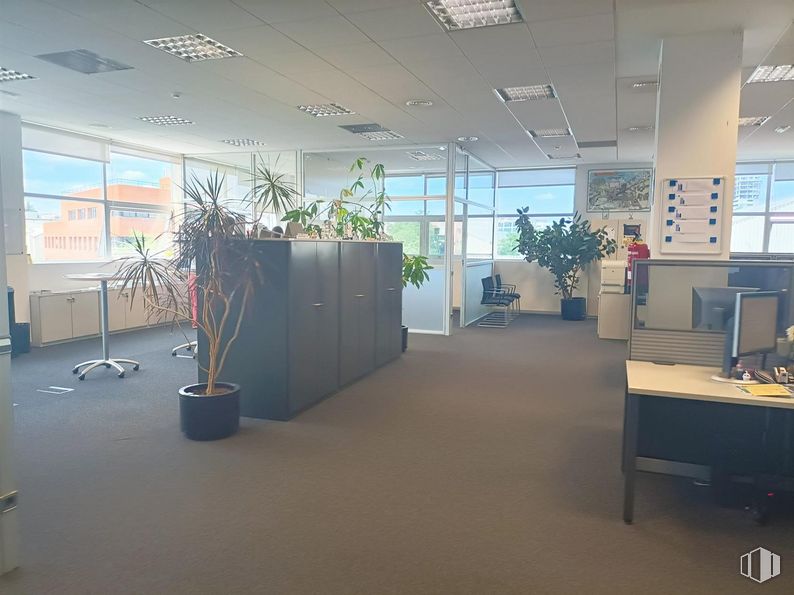 Oficina en alquiler en Calle Valportillo I, 1, Alcobendas, Madrid, 28100 con ebanistería, mesa, edificio, planta, planta de interior, maceta, escritorio, interiorismo, pantalla de ordenador y suelo alrededor