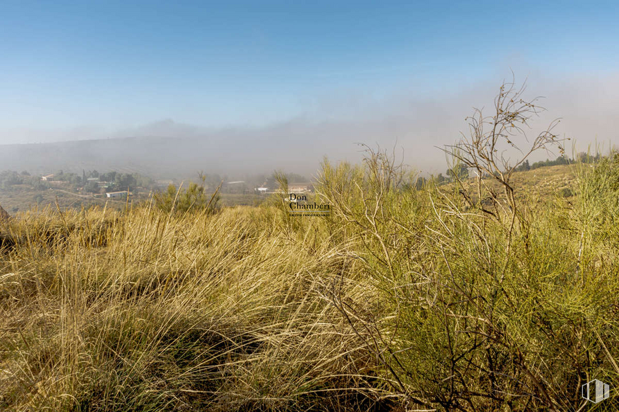 Land for sale at Urbanización La Pozuela, Toledo, 45004 with animal, cloud, sky, plant, natural landscape, grass, plain, landscape, grassland and horizon around