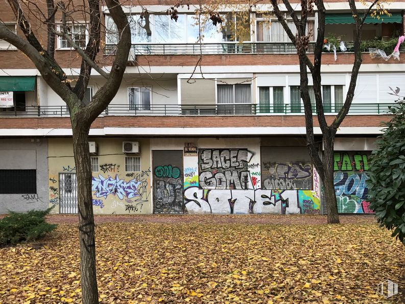 Local en venta en Plaza Cieza, 2 Posterior, Fuencarral - El Pardo, Madrid, 28034 con edificio, planta, propiedad, ventana, árbol, rama, hierba, ramita, pared y barrio alrededor