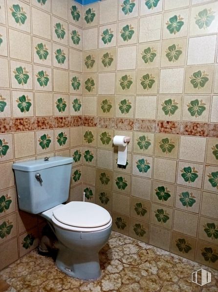 Retail for rent at Zona centro, Majadahonda, Madrid, 28220 with toilet, plumbing fixture, property, toilet seat, green, product, bathroom, plant, purple and interior design around