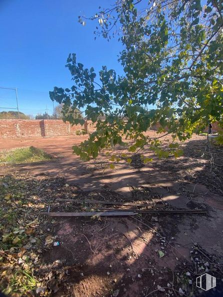 Retail for sale at Avenida Playa de Escalona, Escalona, Toledo, 45910 with sky, plant community, road surface, plant, natural landscape, wood, shade, road, landscape and tints and shades around