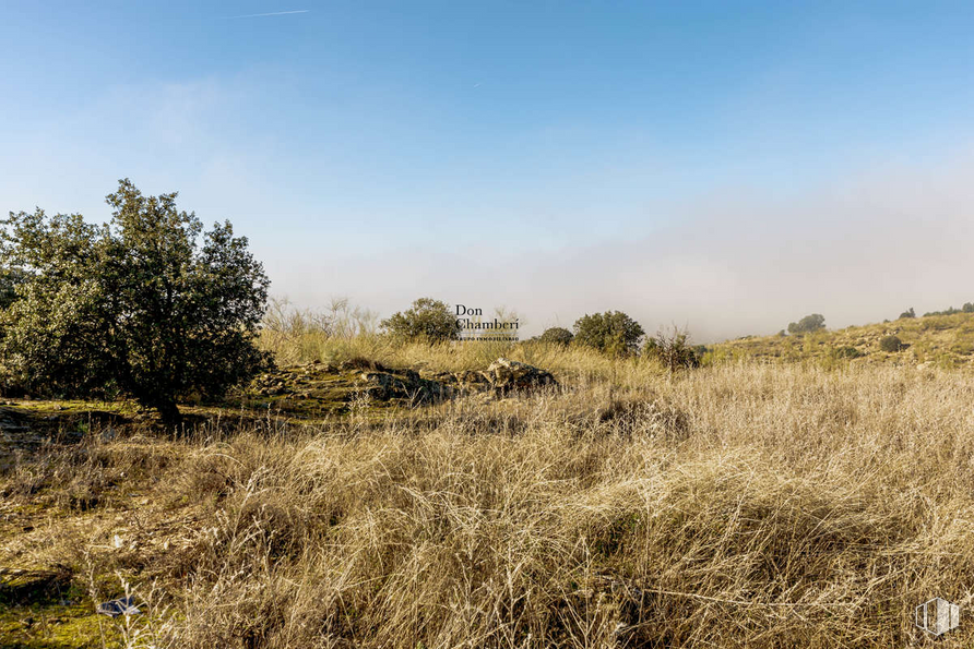 Land for sale at Urbanización La Pozuela, Toledo, 45004 with sky, plant, cloud, plant community, natural landscape, tree, grass, wood, landscape and grassland around