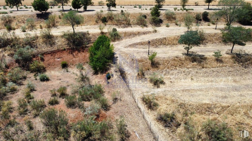 Suelo en venta en Calle Valde Hondillo, Cabanillas del Campo, Guadalajara, 19171 con planta, ecorregión, árbol, vegetación, paisaje natural, paisaje, cubierta vegetal, hierba, arbusto y suelo alrededor