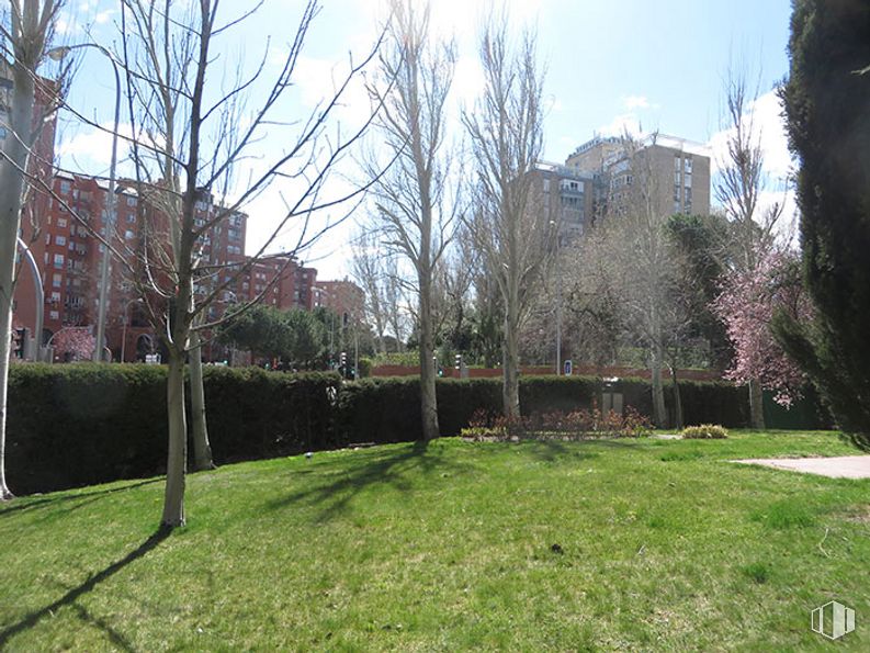 Oficina en alquiler en Calle Condado de Treviño, 9, Ciudad Lineal, Madrid, 28033 con edificio, planta, cielo, ventana, rama, lote de tierra, vegetación, árbol, paisaje natural y vecindario alrededor