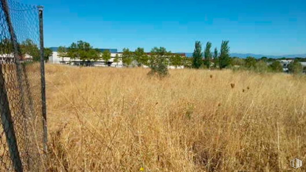 Suelo en alquiler y venta en Calle Patones, Alcorcón, Madrid, 28925 con cielo, planta, comunidad vegetal, ecorregión, entorno natural, paisaje natural, árbol, lote de terreno, agricultura y paisaje alrededor