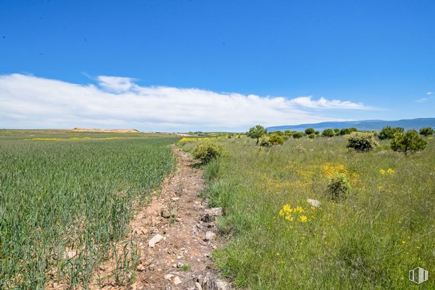 Suelo en venta en Las Zumaqueras, La Lastrilla, Segovia, 40196 con cielo, nube, planta, flor, paisaje natural, llanura, hierba, planta herbácea, carretera y paisaje alrededor