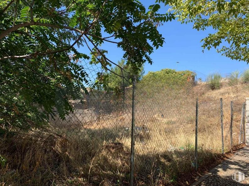 Land for sale at Calle A Canella Peiro, Villalbilla, Madrid, 28810 with plant, sky, plant community, natural landscape, fence, grass, tree, twig, shrub and landscape around