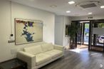 Office for rent at Carretera A Coruña, Las Rozas de Madrid, Madrid, 28230 with couch, houseplant, loveseat, picture frame, lighting, comfort, interior design, building, flooring and floor around