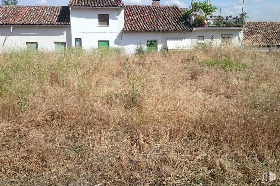 Land for sale at Calle San Francisco, Cogolludo, Guadalajara, 19230 with house, sky, window, plant community, plant, ecoregion, building, tree, vegetation and land lot around