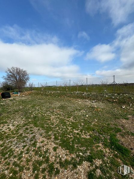 Land for sale at Pl. Diseminados 5021, Santorcaz, Madrid, 28818 with cloud, sky, plant, flower, ecoregion, natural landscape, land lot, tree, grass and plain around