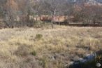 Land for sale at Calle San Francisco, 1, Manzanares el Real, Madrid, 28410 with animal, sky, plant community, plant, mountain, natural landscape, branch, highland, cloud and vegetation around