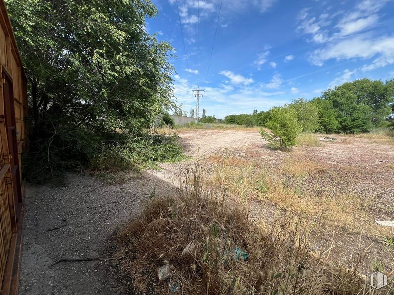 Suelo en venta en Carretera San Fernando de Henares, 4, Mejorada del Campo, Madrid, 28840 con nube, cielo, planta, paisaje natural, madera, superficie de la carretera, vía pública, arbusto, árbol y paisaje alrededor