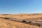 Land for sale at Polígono 10, Parcela 178, Paracuellos de Jarama, Madrid, 28044 with sky, natural landscape, plant, landscape, horizon, grassland, meadow, grass, agriculture and road around