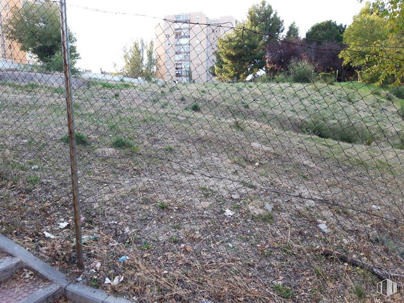 Suelo en venta en Calle Longares, San Blas - Canillejas, Madrid, 28022 con edificio, planta, comunidad vegetal, cielo, árbol, lote de terreno, hierba, arbusto, cubierta vegetal y superficie de la carretera alrededor