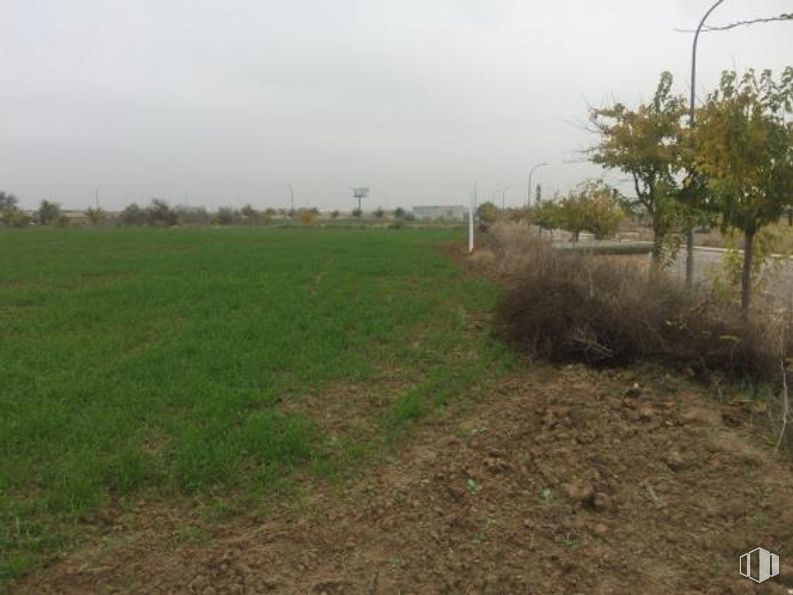 Suelo en venta en Calle Sierra de San Vicente, Illescas, Toledo, 45200 con planta, cielo, árbol, paisaje natural, nube, pastizal, hierba, llanura, prado y paisaje alrededor